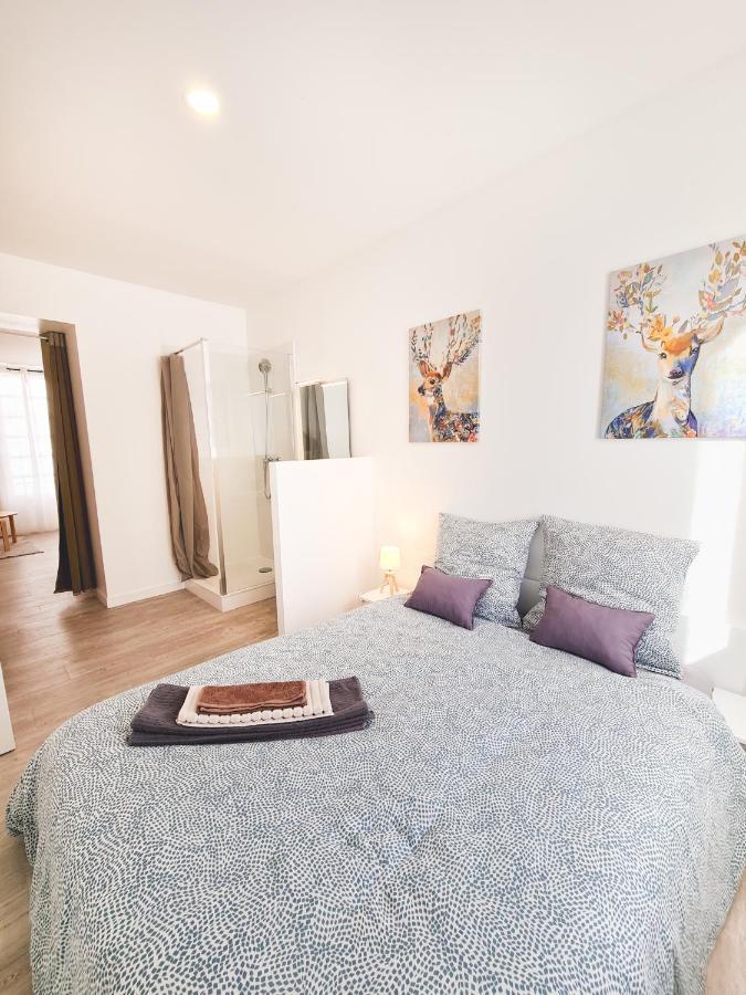 Le Valmy #4 - cosy studio - Grenoble Appartamento Esterno foto
